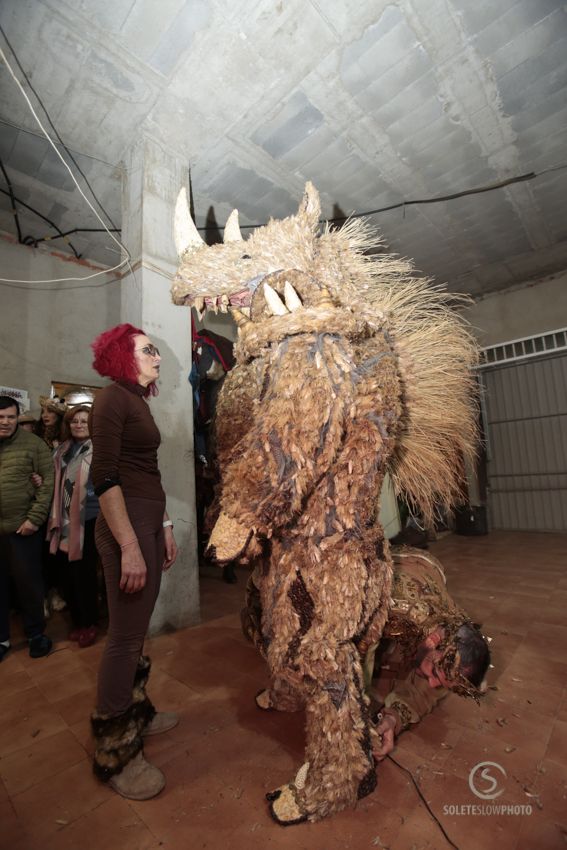 Suelta de la Mussona en el Carnaval de Águilas