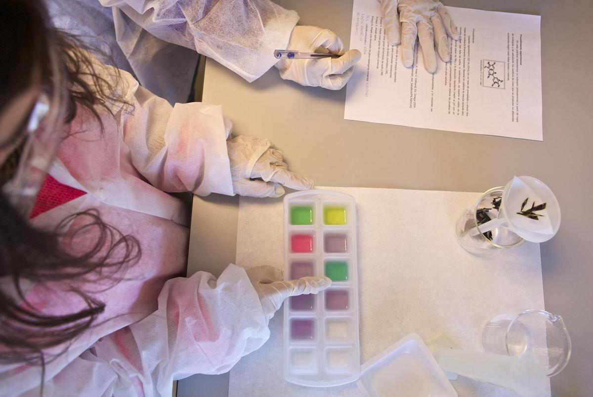 Se trata de una serie de actividades dirigidas a centros educativos, municipios y entidades sin ánimo de lucro, que se desarrollan durante los meses de febrero y marzo.