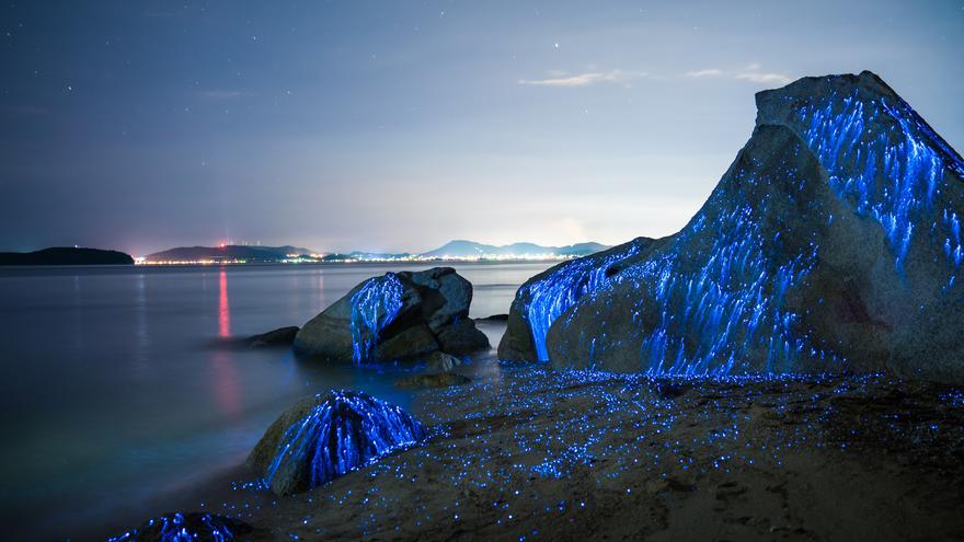 Las playas de Galicia donde puedes ver la mágica bioluminiscencia
