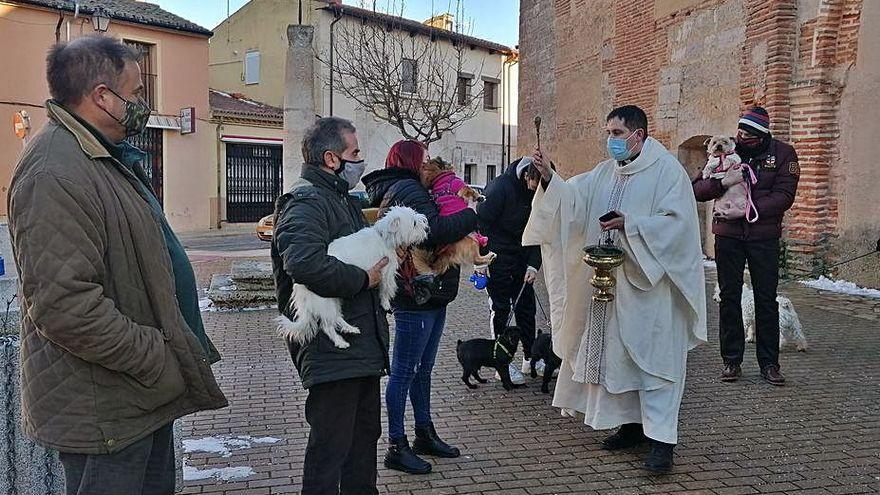 Bendición de los animales tras la misa oficiada el pasado año en Santa María de Arbas