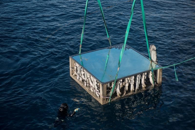 El museo submarino de Lanzarote se inaugura