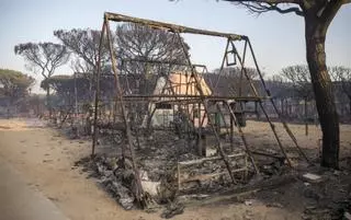 Incendio de Doñana: La carbonera de Moguer tenía siete hornos no autorizados y encendió uno el día del fuego "sin vigilancia"