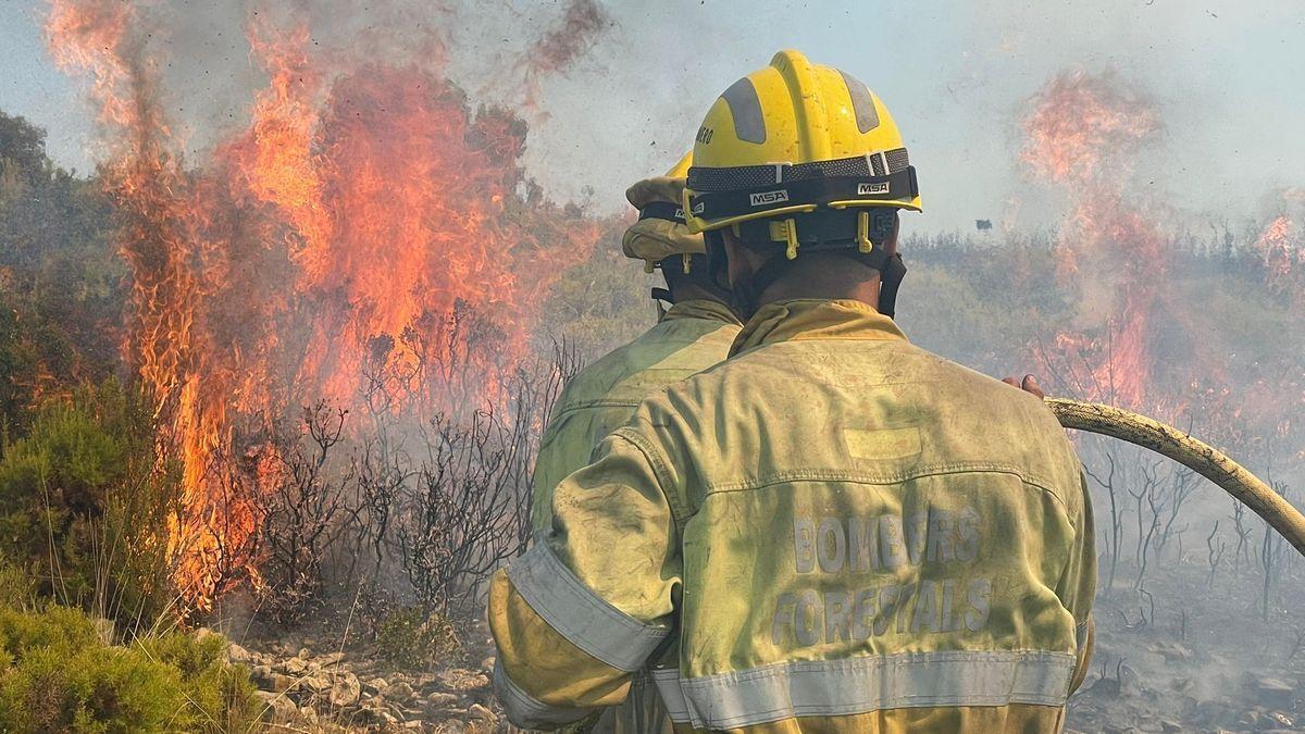 Imagen de archivo de bomberos forestales interviniendo en un incendio en Castellón.
