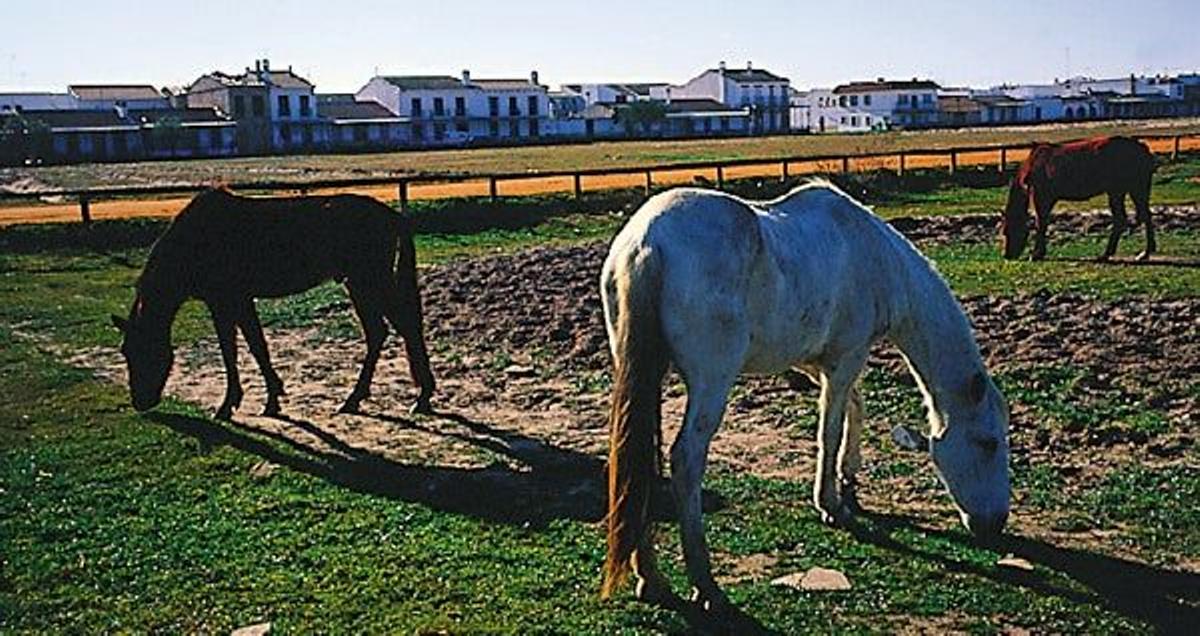 Sevilla y Huelva multiplican su luz