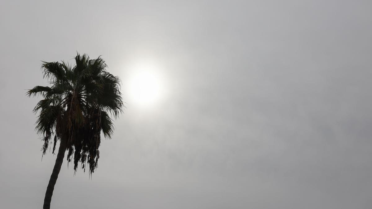 Canarias se guisa de madrugada: los 30 grados registrados convierten a las Islas en la zona más caljurosa del país