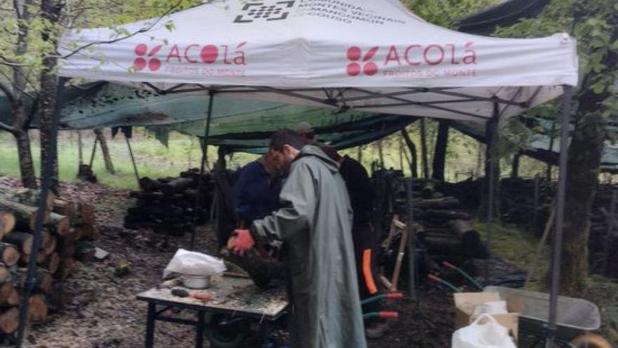 Roban una carpa, una carretilla y setas a la comunidad de montes de Couso