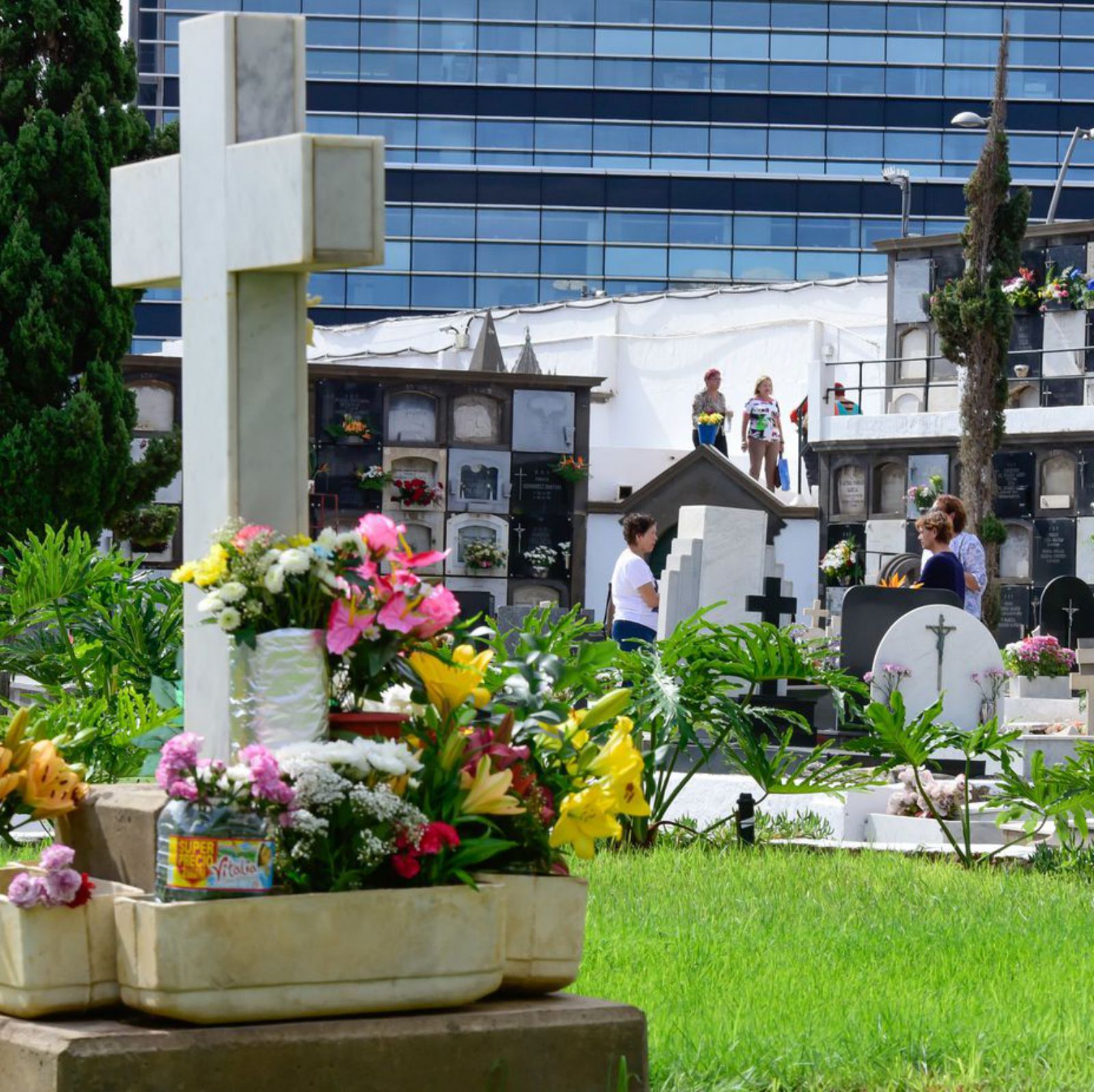 Tumbas y nichos del Cementerio de Vegueta frente a la Ciudad de la Justicia.