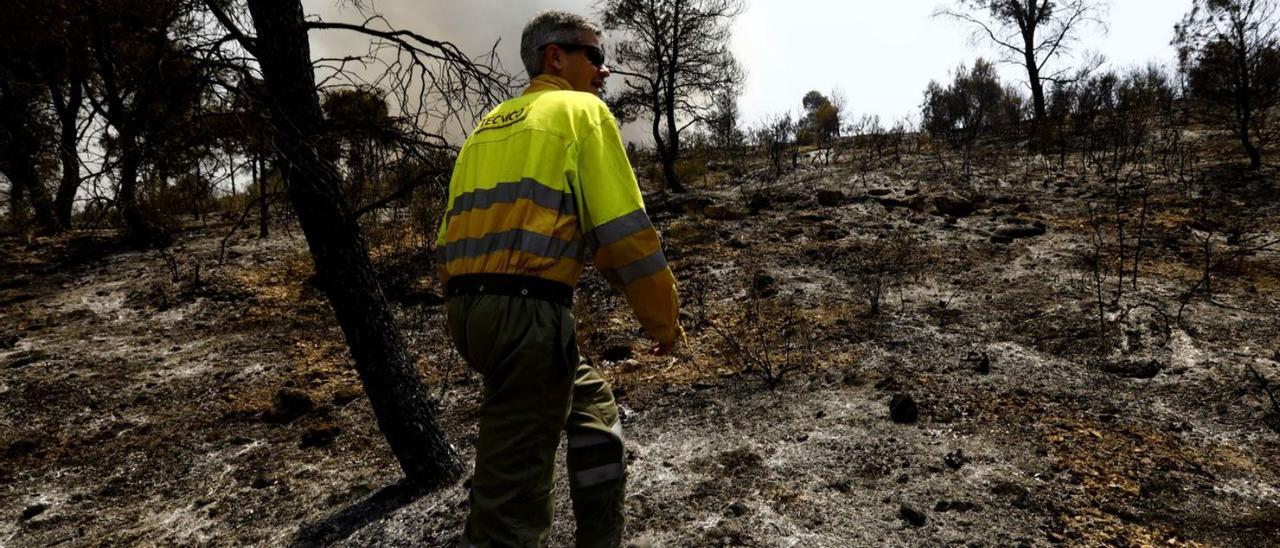 Los incendios arrasan en siete días más hectáreas que en seis años | JAIME GALINDO