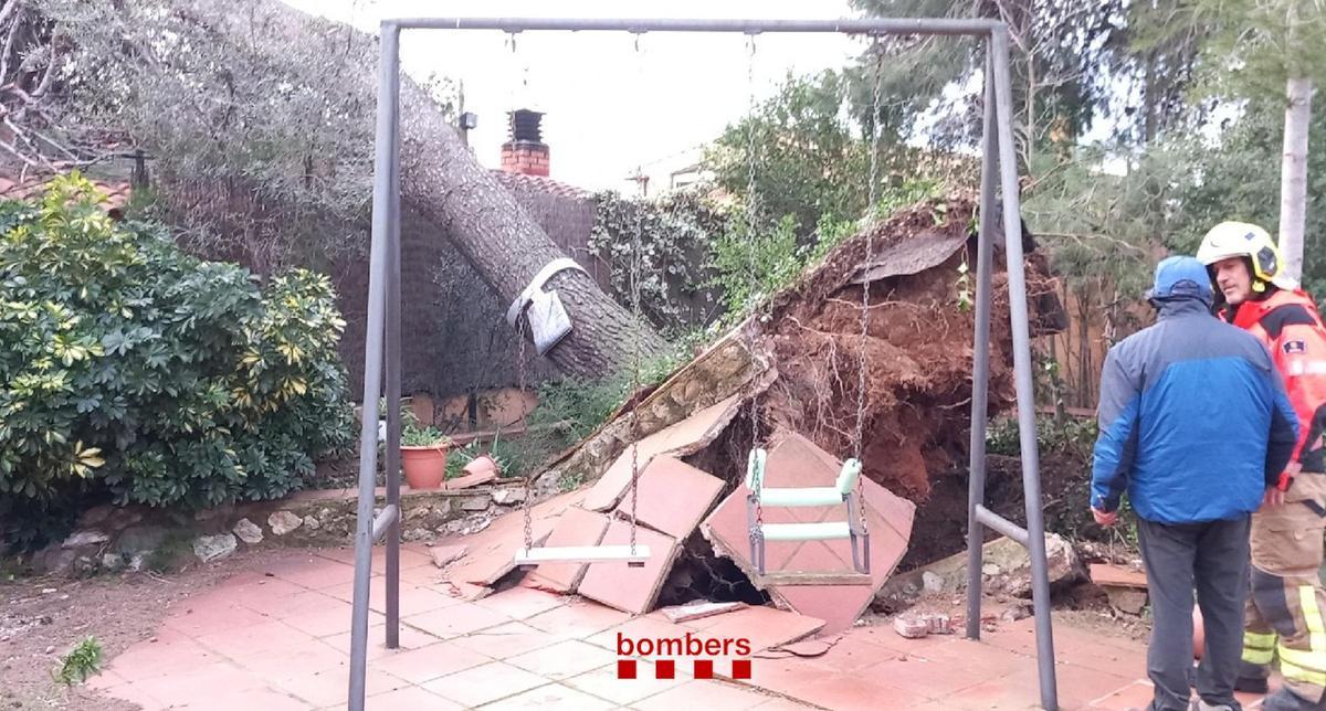 Un arbre arrencat pel vent a Barcelona