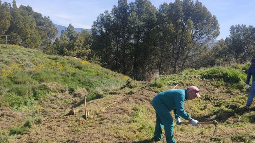 Los trabajos en el castillo de Ayerbe hallan la muralla