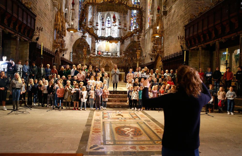 Ensayo general del concierto de Santa Lucía en la Catedral