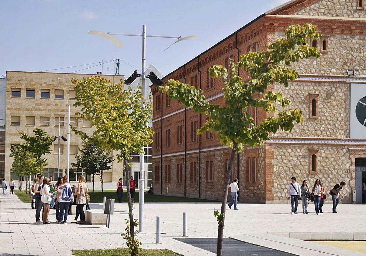 Tres titulaciones del Campus Viriato, entre las más demandadas por las empresas