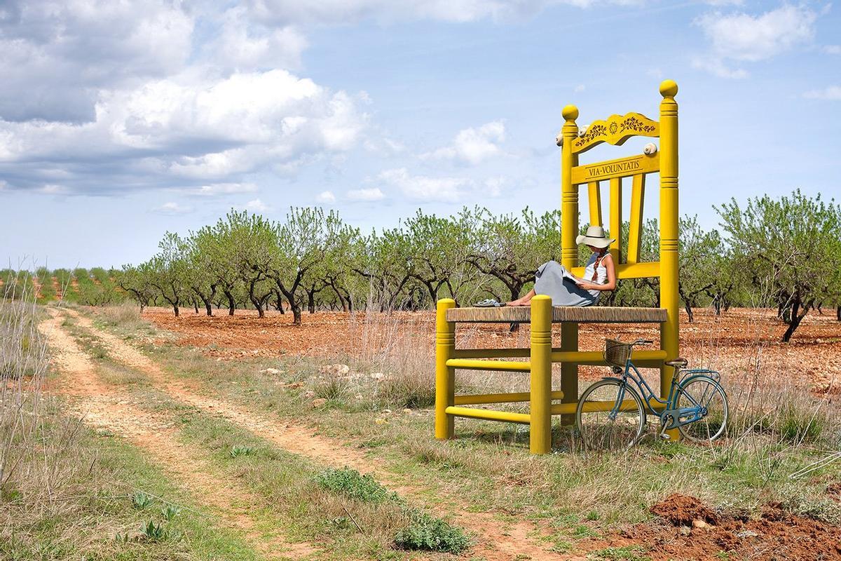 Los creadores han intentado que las sillas se coloquen en lugares especiales en medio de la naturaleza.