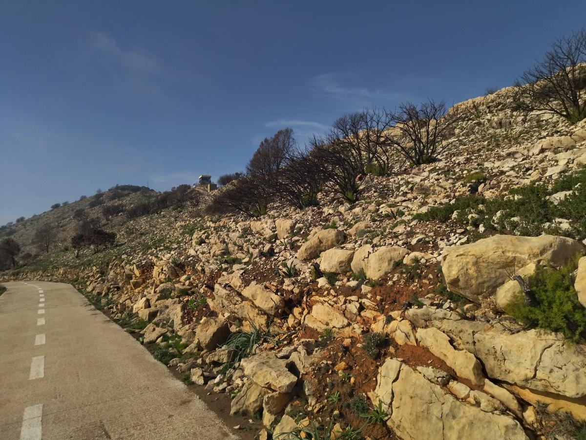 Desolación, erosión y bandadas de cuervos en las laderas del Coll de Rates arrasadas hace 8 meses por el fuego (imágenes) Desolación, erosión y bandadas de cuervos en las laderas del Coll de Rates arrasadas hace 8 meses por el fuego (imágenes)