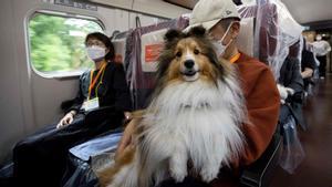 Un perro y su amo, en el interior del tren bala que ha salido de Tokio con destino a la ciudad balneario de Karuizawa.