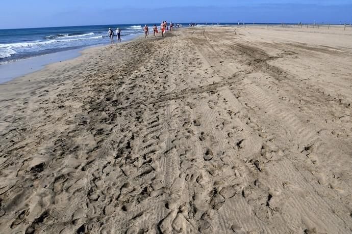 13/05/2019 MASPALOMAS. SAN BARTOLOME DE TIRAJANA. El presiddente del Cabildo de Gran Canria, Antonio Morales, y el consejero de Medio Ambiente y Emergencias, Miguel Ángel Rodríguez, informan del inicio de la segunda fase del proyecto para la recuperación de las dunas de Maspalomas, Masdunas, pionero en el mundo por sus carcterísticas .    Fotógrafa: YAIZA SOCORRO.  | 13/05/2019 | Fotógrafo: Yaiza Socorro