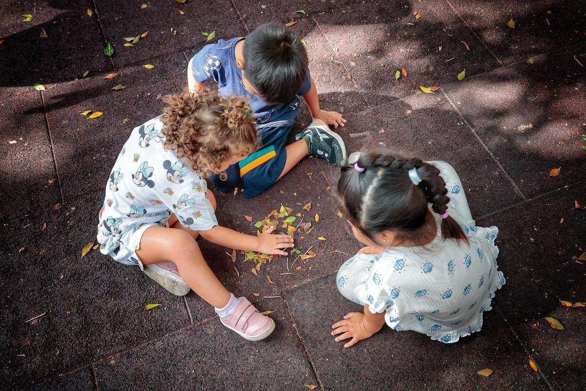 Escuelas municipales de verano en Santa Cruz de Tenerife