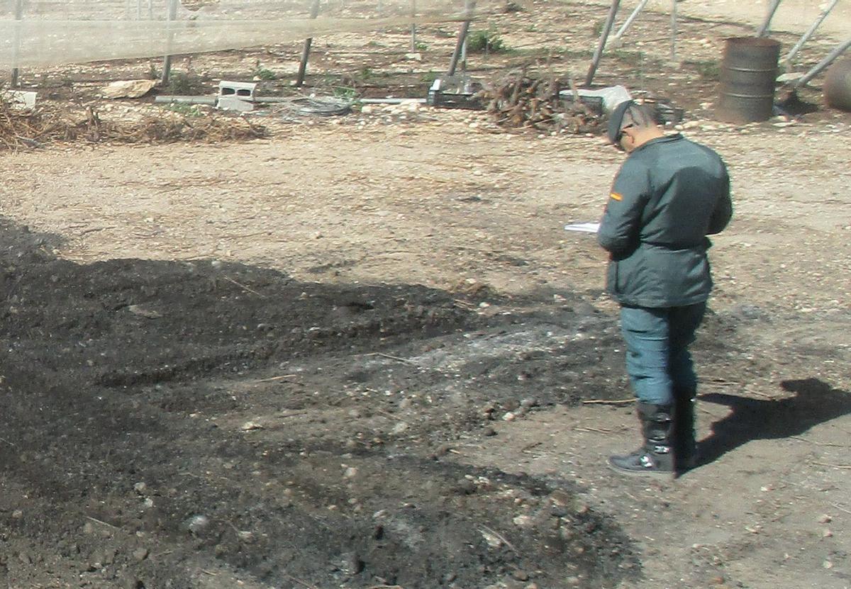 Un investigador trabaja sobre el terreno una vez se apagaron las llamas de Sierra Espuña.