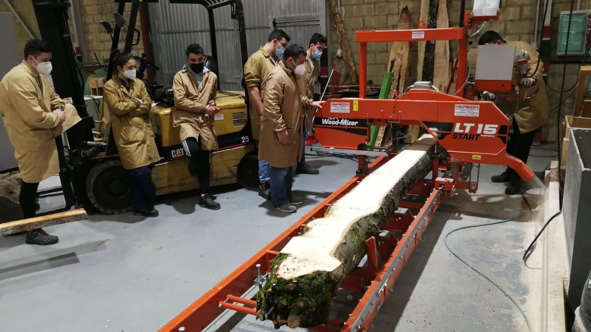 Los árboles talados en la feria servirán para hacer muebles