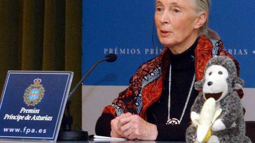 La científica Jane Goodall, en 2003.