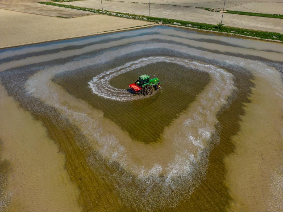 Arranca el riego del arroz en el delta del Ebro