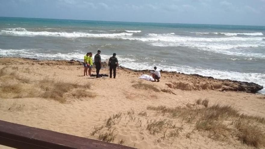 Socorristas y agentes de la Guardia Civil junto al cadáver del hombre ahogado en Torrevieja.