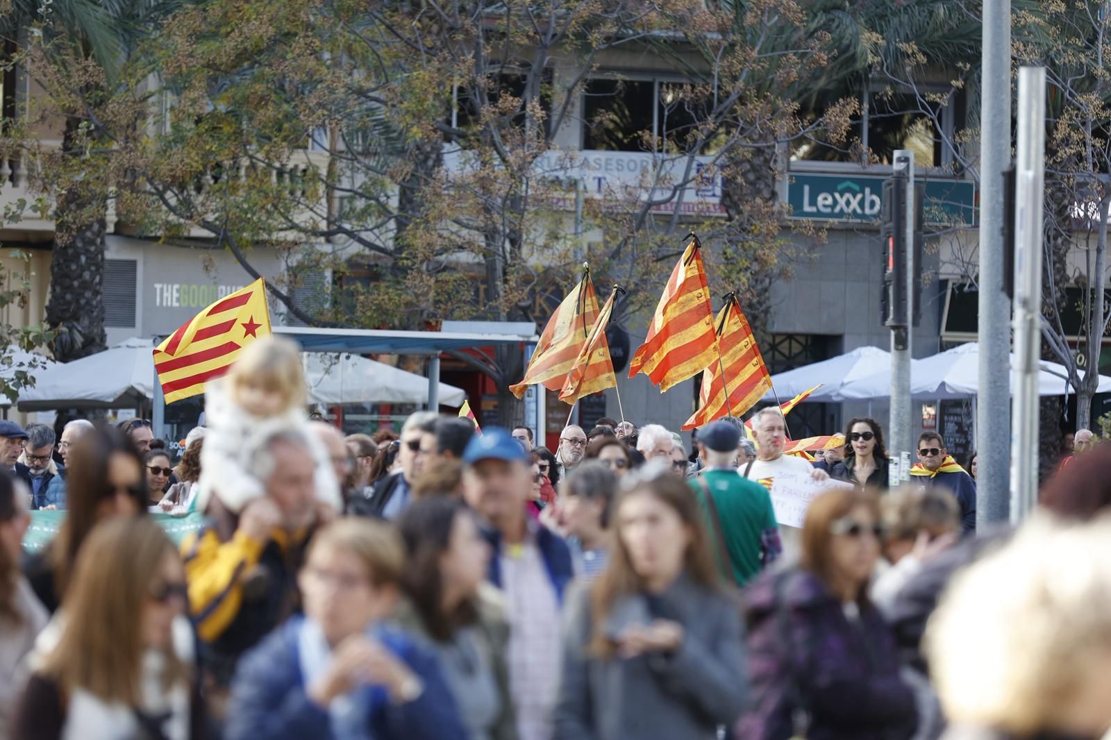 La manifestación 'Defensem la llengua, som País Valencià', en imágenes