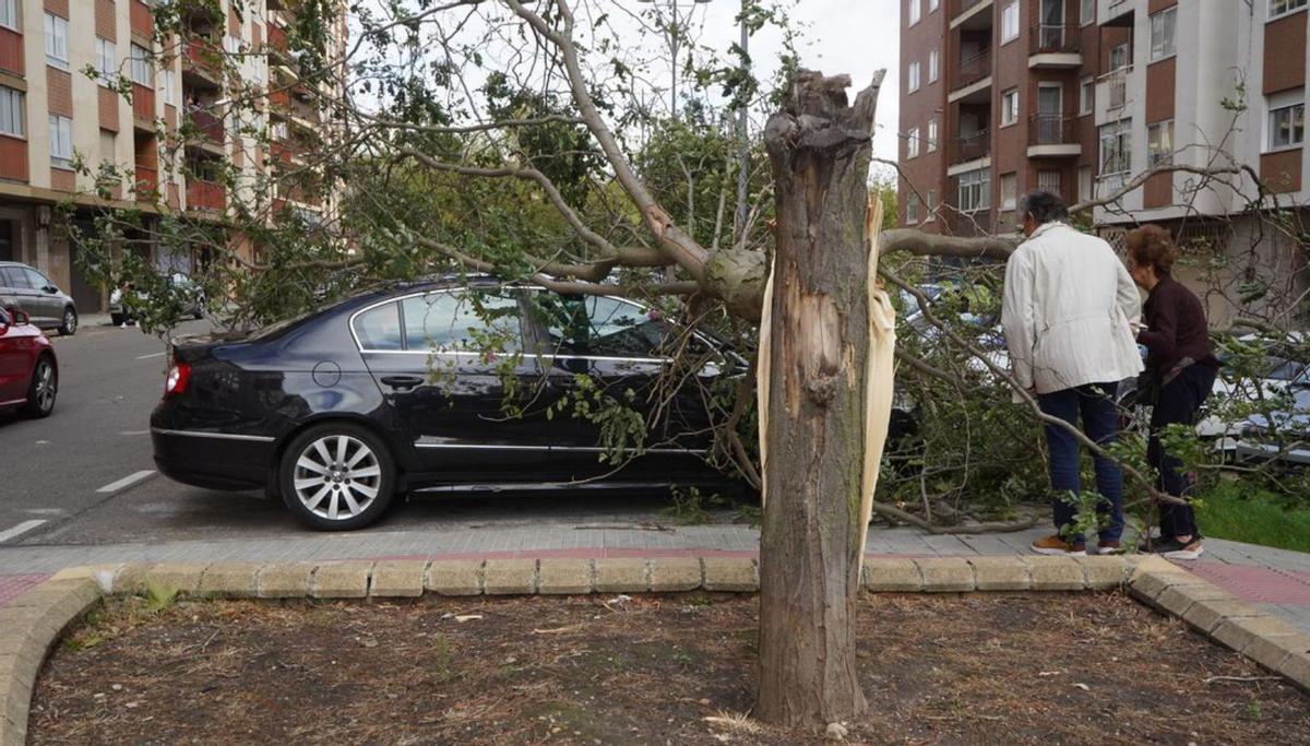 Un centenar de emergencias atendidas, con los bomberos desbordados por Kirk