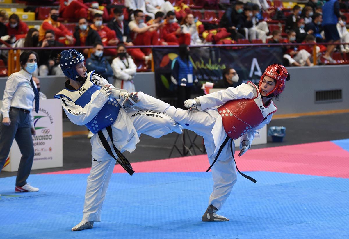 Open Internacional de Taekwondo de Córdoba en imágenes