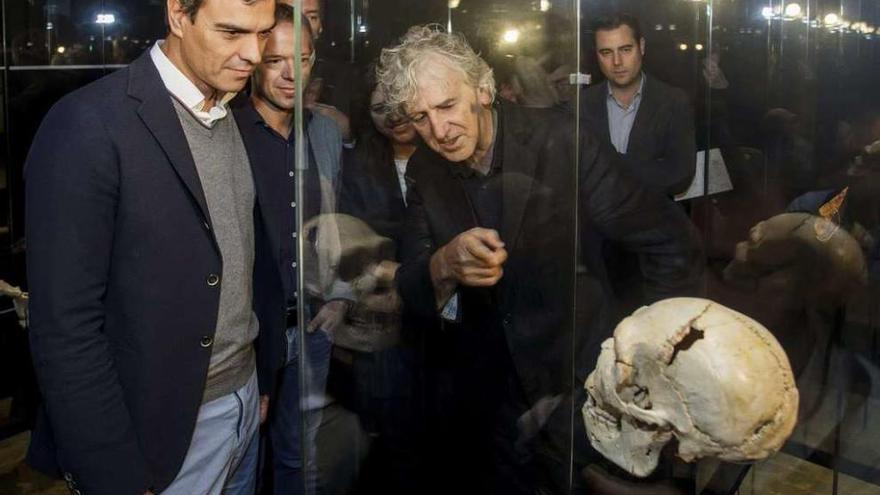 Sánchez, ayer, en su visita al Museo de la Evolución de Burgos, con Juan Luis Arsuaga. // Efe