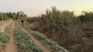 El PP de Foios impulsa un frente común con alcaldes y portavoces del PP para exigir a la CHJ la limpieza urgente del barranco del Carraixet