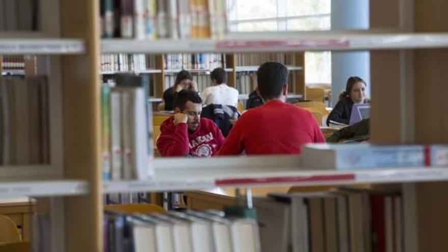 Alumnos estudian en la biblioteca de la Universidad de Alicante en una imagen reciente.