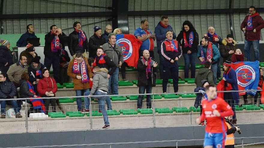 Un grupo de aficionados de la UD Ourense celebra el segundo gol en el Manuel Candocia. // D. Alexandre