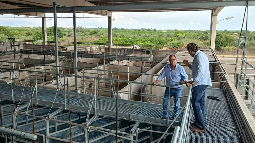 La Diputación adapta los corrales del matadero comarcal de la Plana para ganar en seguridad y bienestar