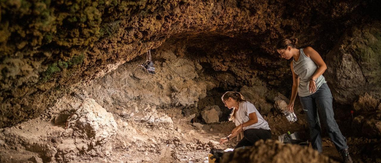 Excavación arqueológica en la Cueva de los Cabezazos, en Tegueste.