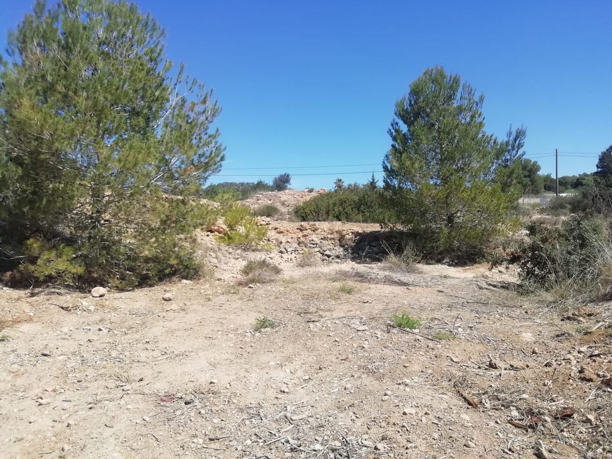 Galería: Así ha quedado el vertedero ilegal de Cala Tarida