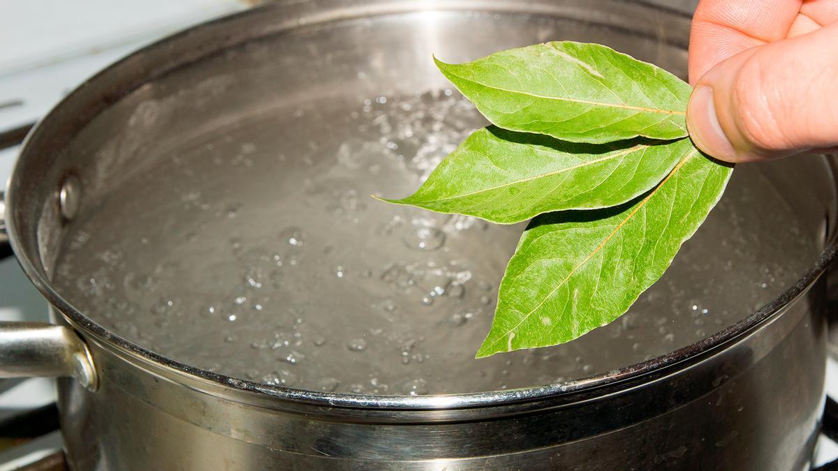 Laurel y agua en la cara: vuelve  atener una piel tersa y joven con este truco antes de dormir