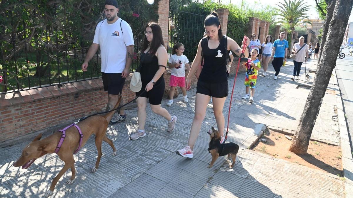 Marcha canina en Vila-real