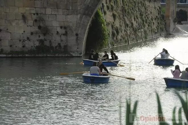 Llegada de la Sardina