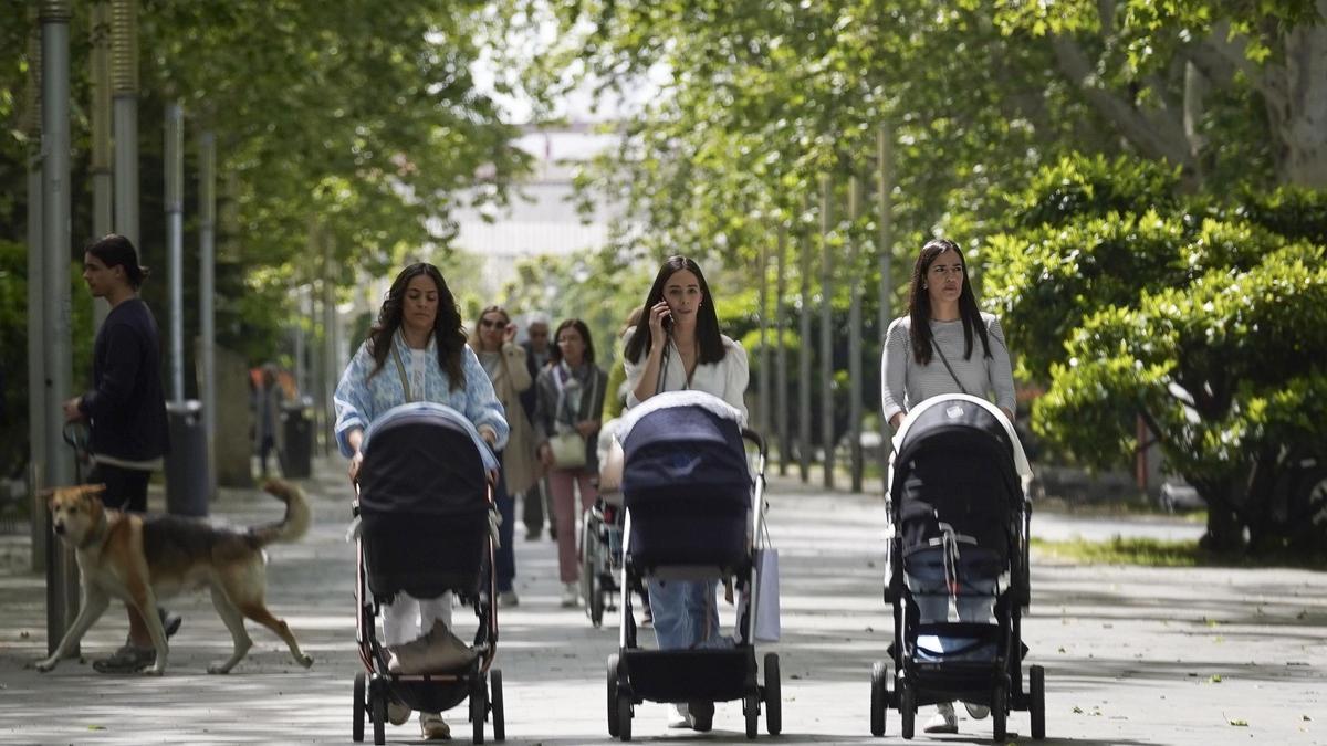 Aragón destaca la importancia de vacunar a bebés y embarazadas.