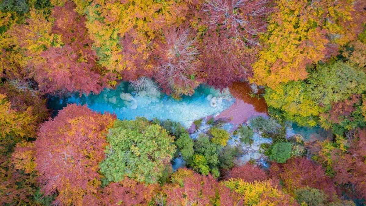 Otoño Selva de Irati