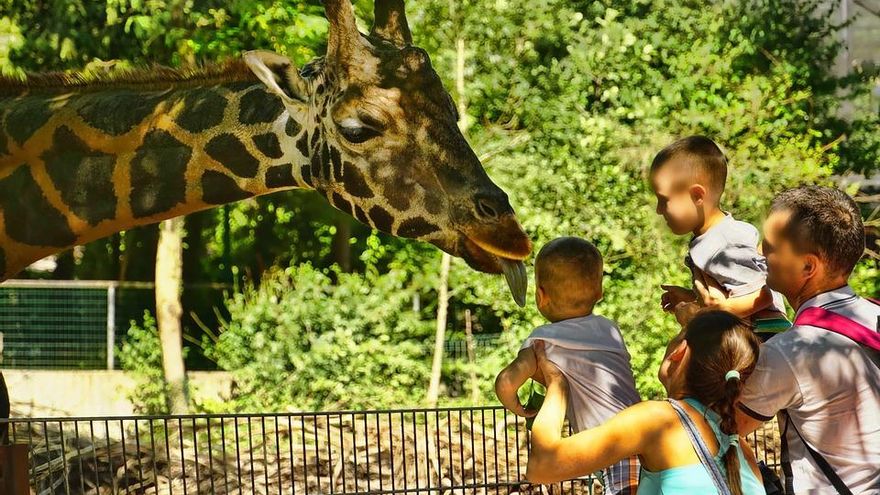 En Venezuela se come animales de zoo