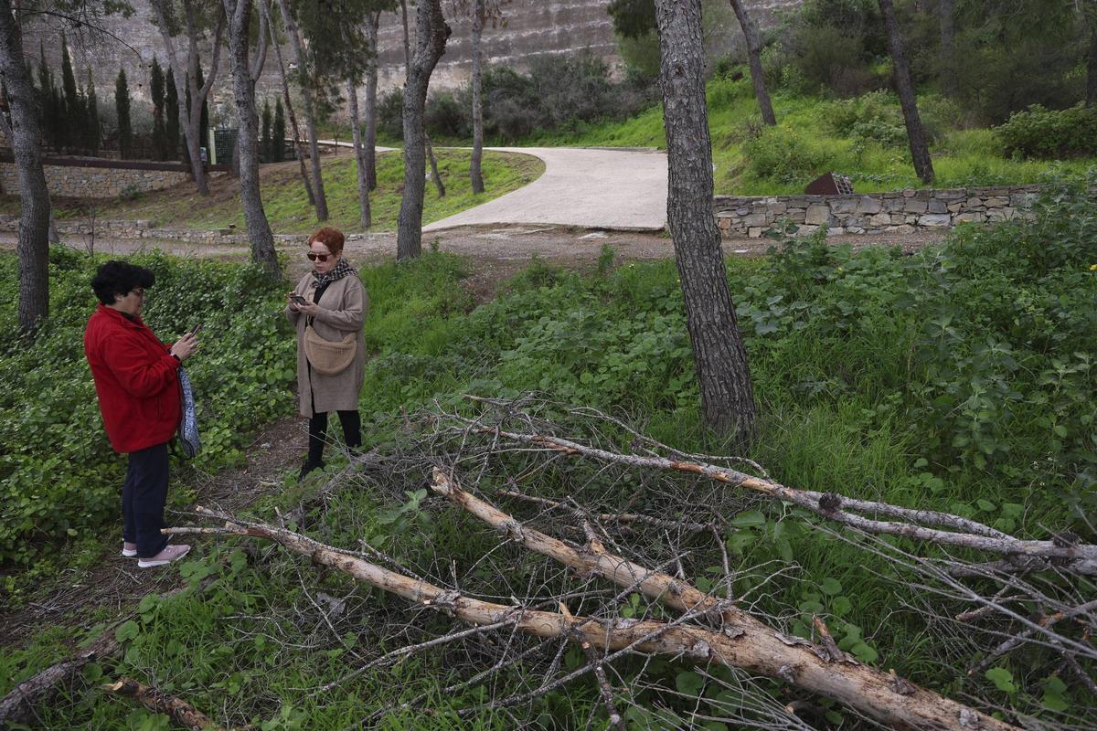 Zona forestal de Sagunt.