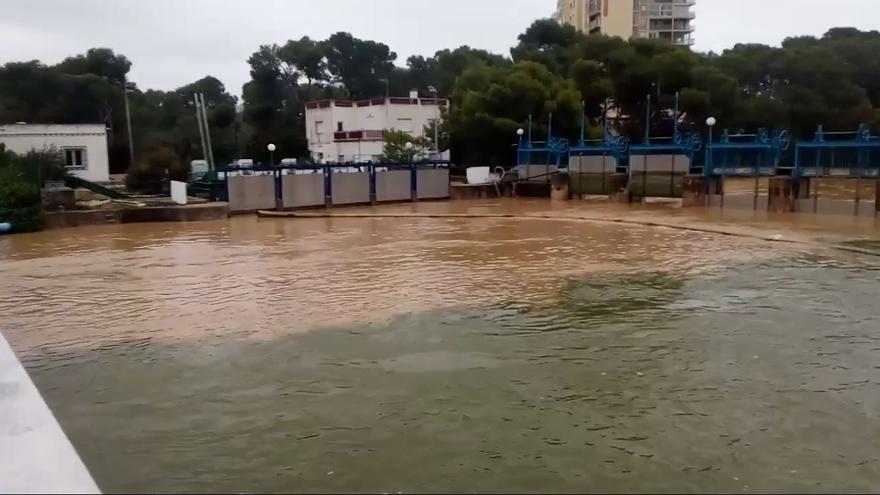 Los dos colores del agua de l&#039;Albufera por el temporal