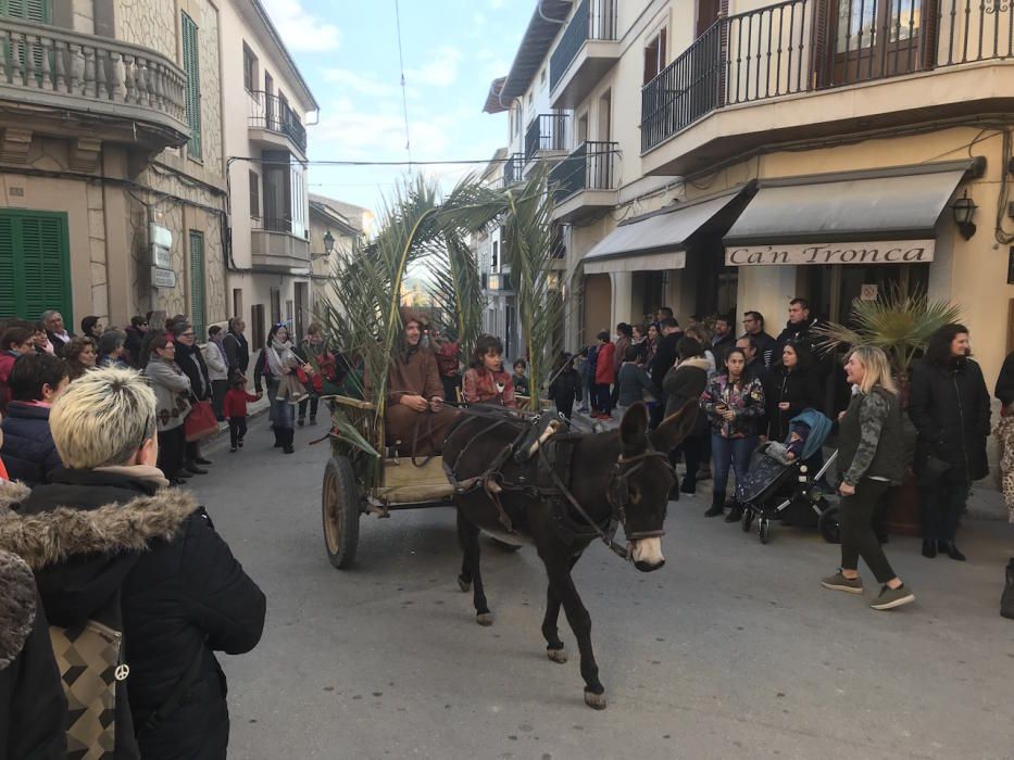 Sant Antoni 2018: Beneïdes de Sant Joan