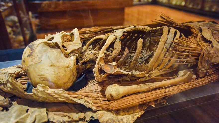 ¿Es ético exhibir restos humanos? Los museos canarios no los esconderán
