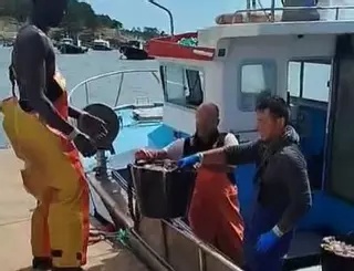 Multa de 10.000 euros y 3 meses sin licencia para el furtivo de los 800 kilos de pulpo