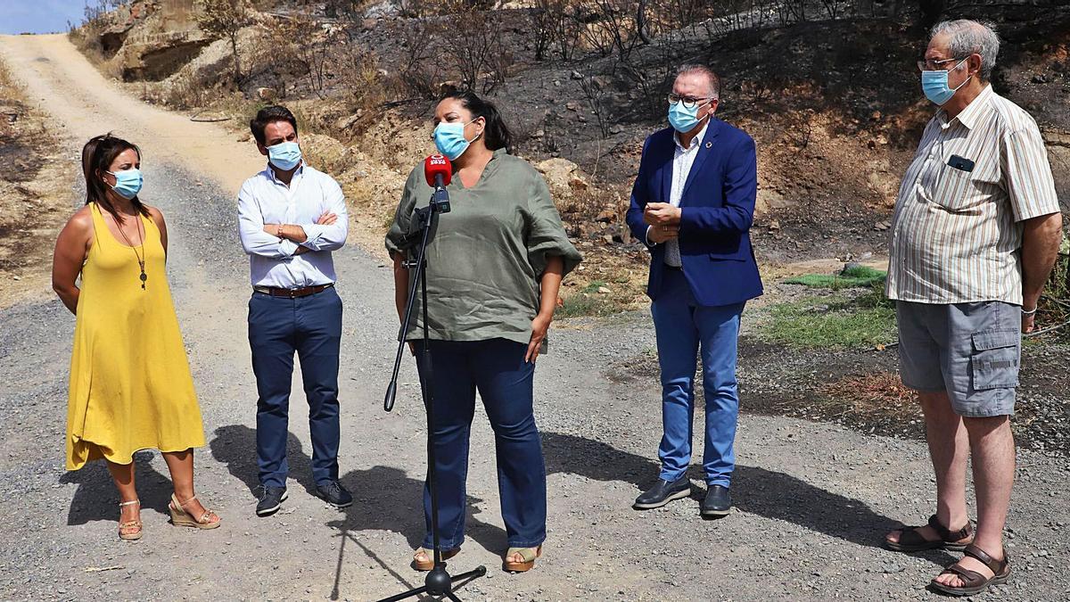 María José Romo, José Luis Cabrera, Dolores Amo, Juan Díaz y Javier Olmo, ayer en la zona afectada por los incendios.