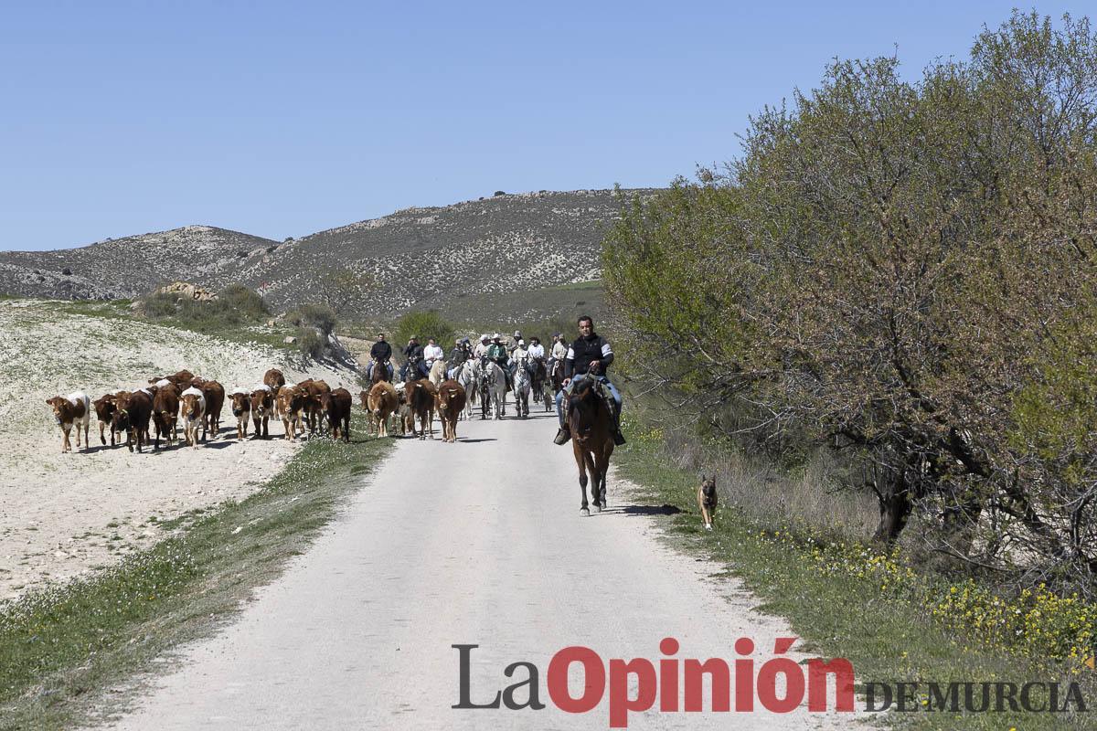 trashumancia/Ganadería La Junquera_003