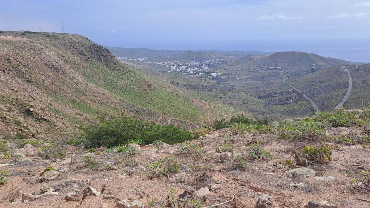 Lanzarote impulsa la restauración ecológica de las Cumbres de Famara.